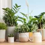 Menata Suasana Pagi agar Hari Dimulai dengan Ketenangan